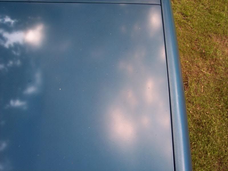 1983FordBronco2008-1.jpg