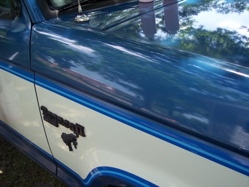 1983FordBronco2009.jpg