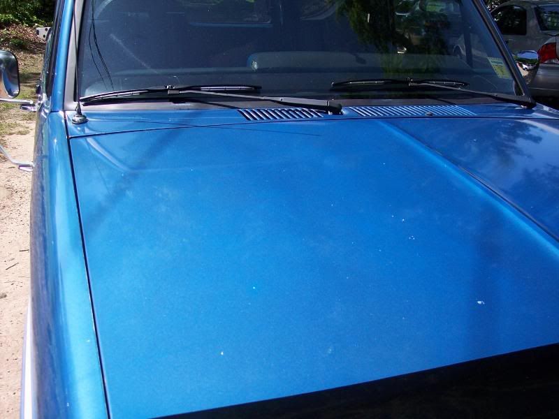 1983FordBronco2010.jpg