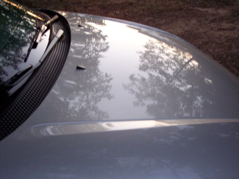 2000SilverFocus-MorningAfterUlti-1.jpg