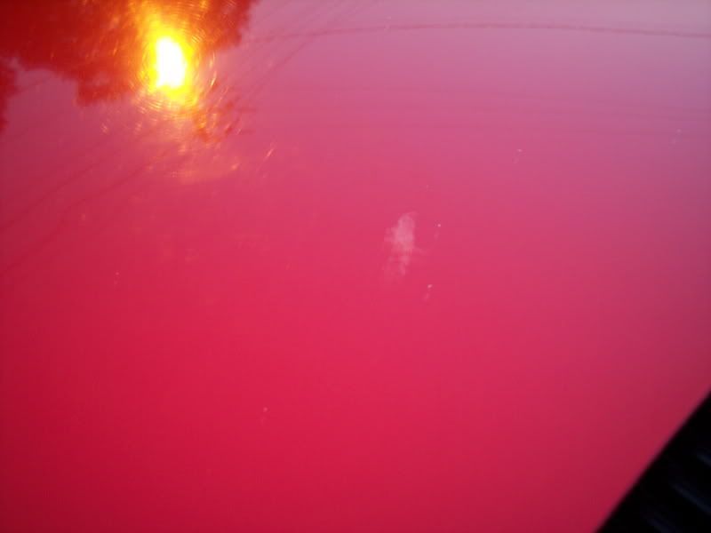 Cars2007019.jpg