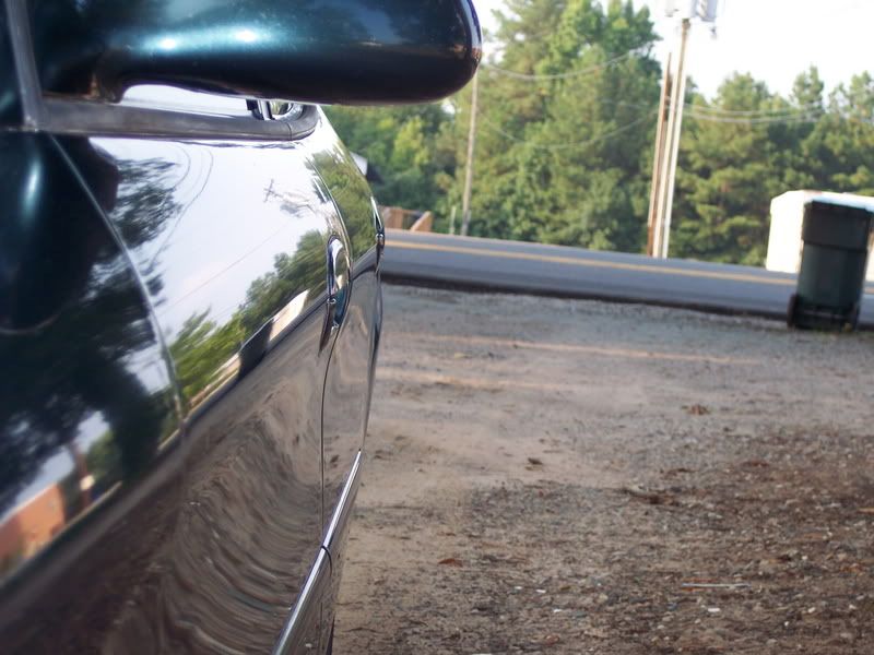 Green96Taurus006.jpg