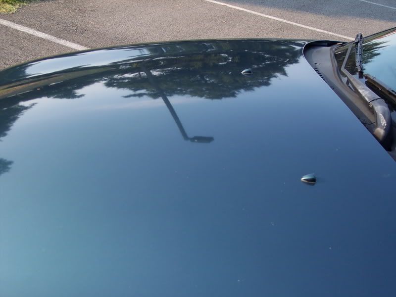 Green96Taurus011.jpg