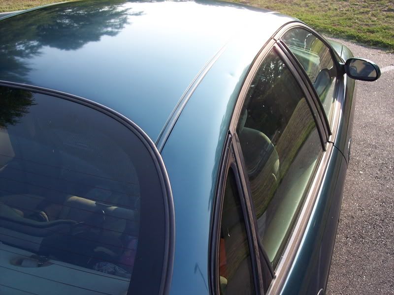 Green96Taurus014.jpg