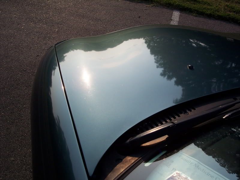 Green96Taurus016.jpg