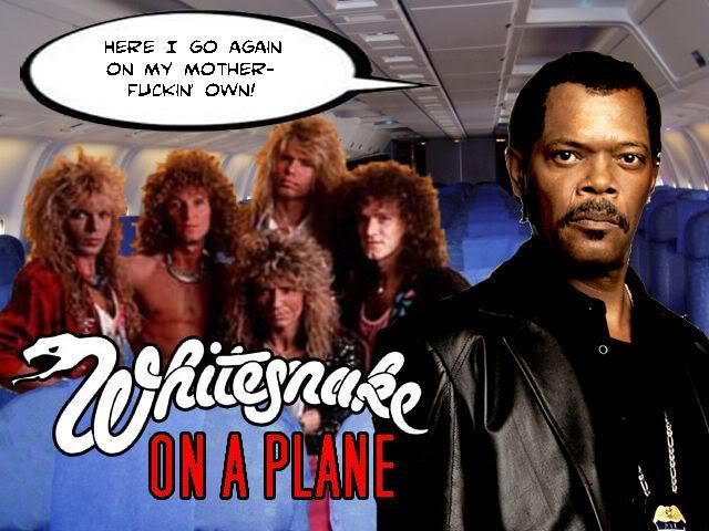 whitesnake wallpaper. Whitesnake on a Plane Image