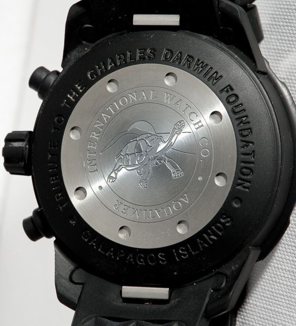 i95.photobucket.com/albums/l156/wbarker75/IWC%20Galapagos/D8N_0213-2_zpsdsyyhmem.jpg