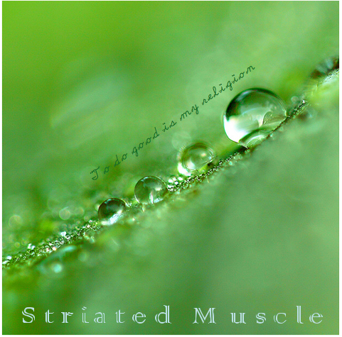 CD cover