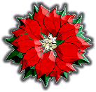 xmas flower