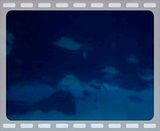 File Attachment: