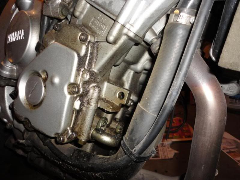 Where's the oil leak coming from? Pics inside Yamaha R6 Forum YZFR6