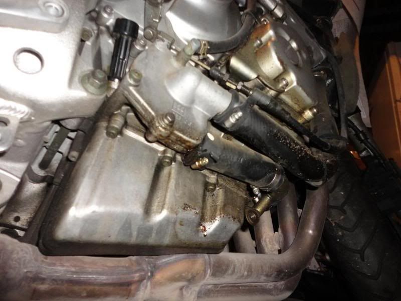 Where's the oil leak coming from? Pics inside Yamaha R6 Forum YZFR6
