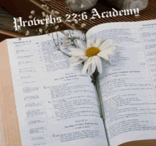 Prov22bible