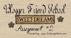 Blogger Friend School Sweet Dreams