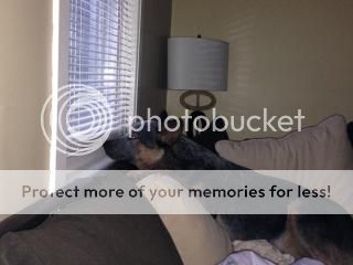 photo B9678EF9-BBD5-4690-905A-BC53523486FA.jpg