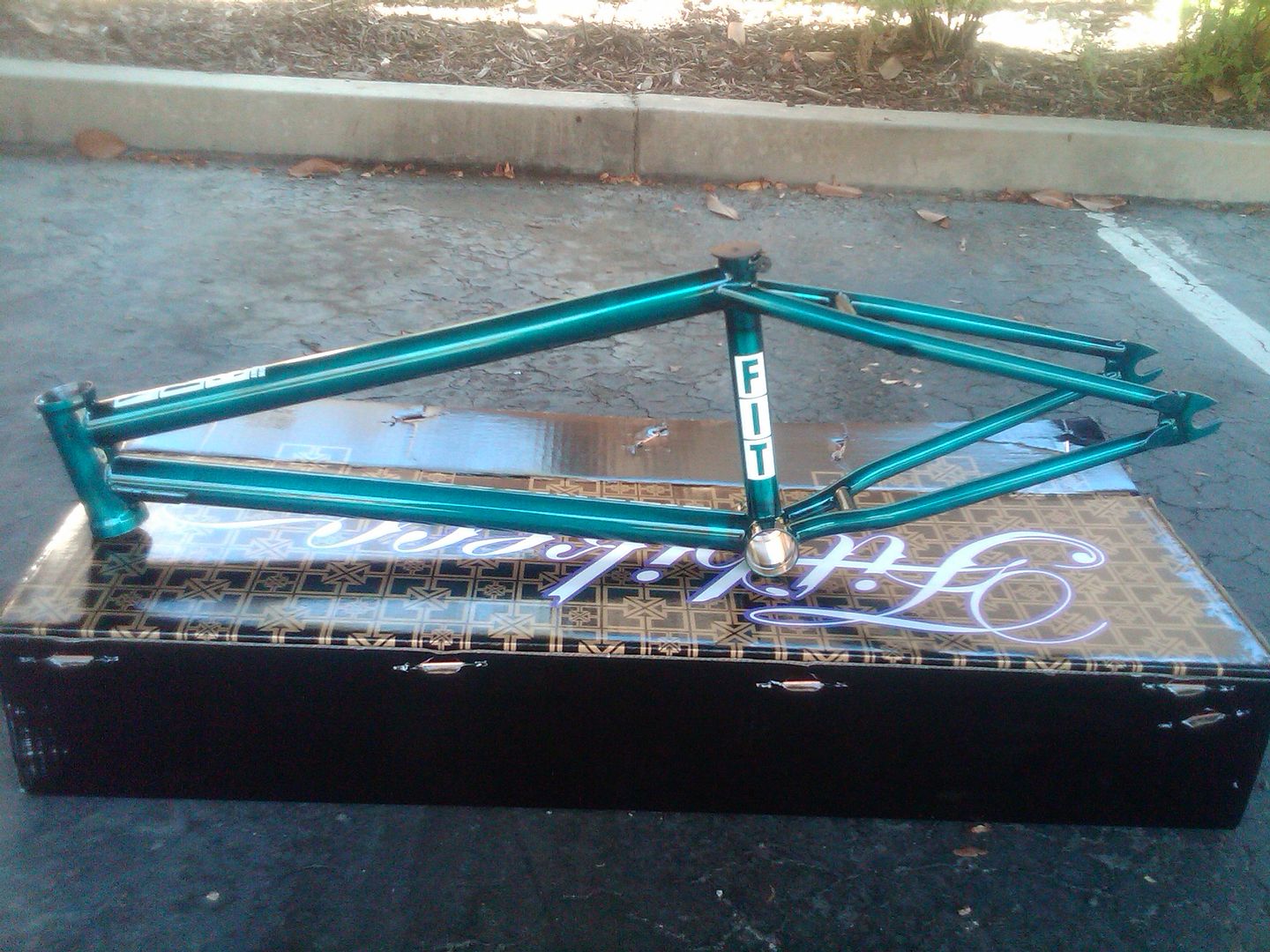 FIT BIKE VAN HOMAN 3 FRAME TRANS TURQUOISE 20.5 BMX VH3  