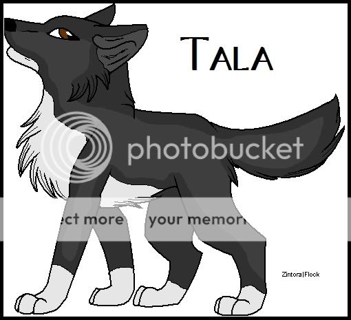 Tala6.jpg