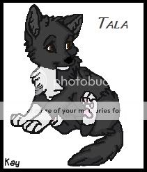 TalaPuppy.jpg