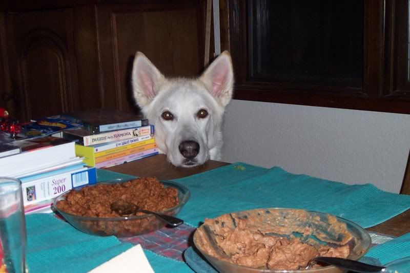 Chinook's face.