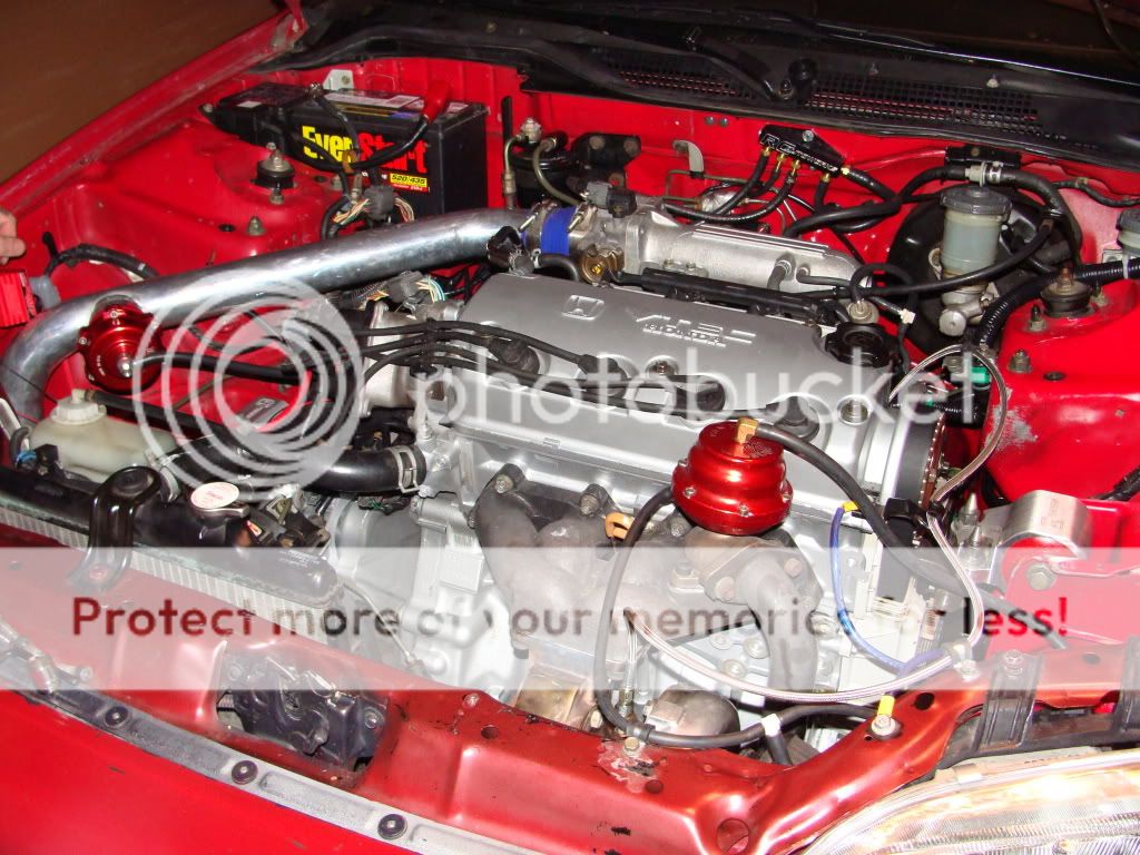 Post your engine bay | Page 33 | Honda D Series Forum