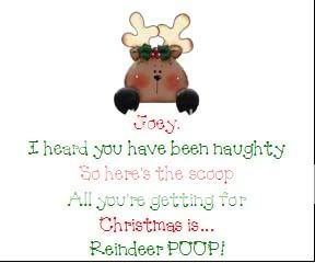 Christmas Reindeer Poop Personalized Party Favors Cute  