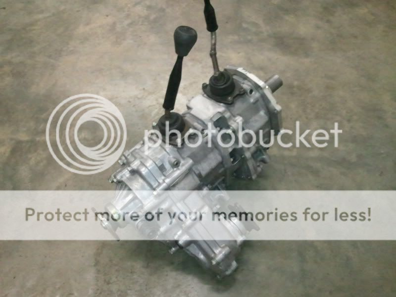 Tacoma dual cases | Pirate 4x4